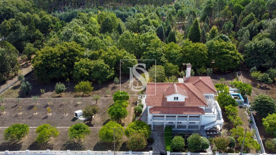 Quinta T6 para Venda em Santa Comba Dão e Couto do Mosteiro Foto 47