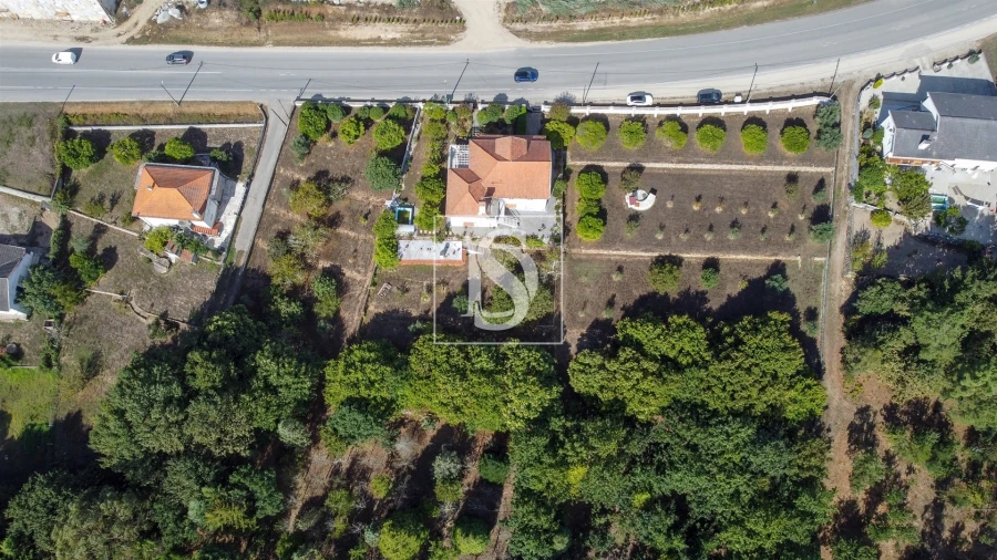 Quinta T6 para Venda em Santa Comba Dão e Couto do Mosteiro Foto 46