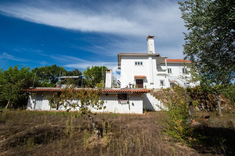 Quinta T6 para Venda em Santa Comba Dão e Couto do Mosteiro Foto 49