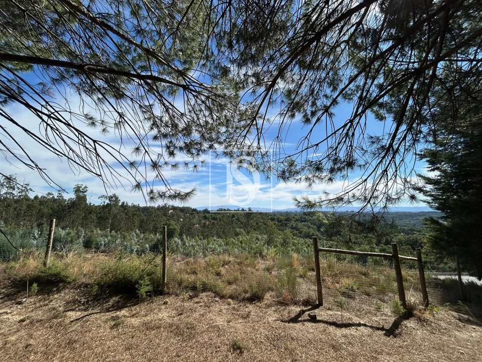 Quinta T6 para Venda em Santa Comba Dão e Couto do Mosteiro Foto 36