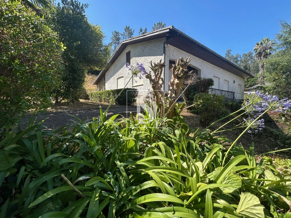 Moradia T4 para Venda em Mortágua, Vale de Remígio, Cortegaça e Almaça Foto 45