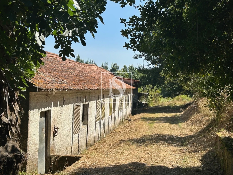 Moradia T4 para Venda em Mortágua, Vale de Remígio, Cortegaça e Almaça Foto 41