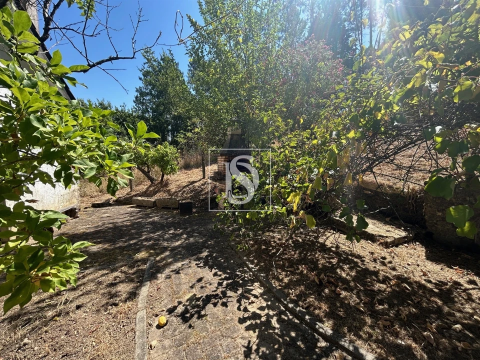 Moradia T4 para Venda em Mortágua, Vale de Remígio, Cortegaça e Almaça Foto 56