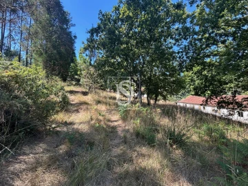 Moradia T4 para Venda em Mortágua, Vale de Remígio, Cortegaça e Almaça