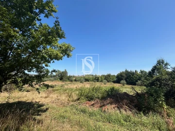 Moradia T4 para Venda em Mortágua, Vale de Remígio, Cortegaça e Almaça