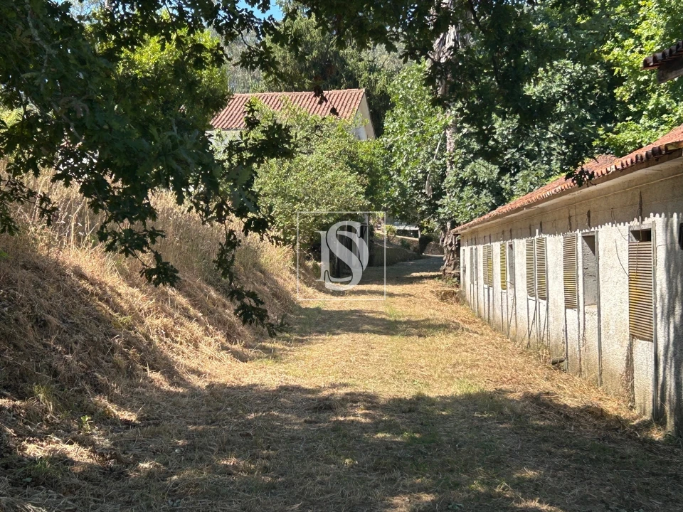 Moradia T4 para Venda em Mortágua, Vale de Remígio, Cortegaça e Almaça Foto 51