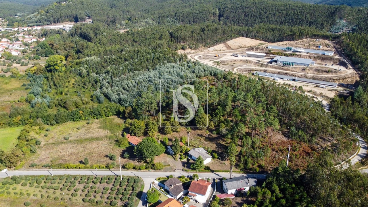 Moradia T4 para Venda em Mortágua, Vale de Remígio, Cortegaça e Almaça Foto 67