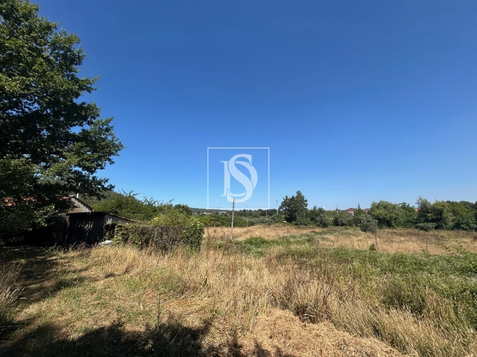 Moradia T4 para Venda em Mortágua, Vale de Remígio, Cortegaça e Almaça Foto 44