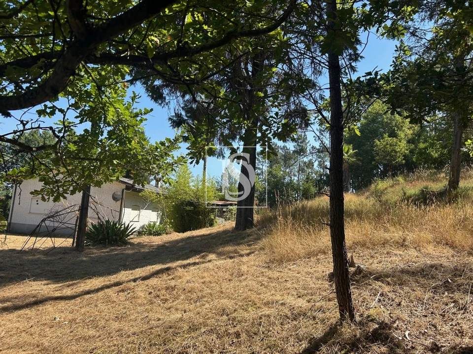 Moradia T4 para Venda em Mortágua, Vale de Remígio, Cortegaça e Almaça Foto 59