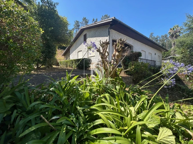 Moradia T4 para Venda em Mortágua, Vale de Remígio, Cortegaça e Almaça Foto 45