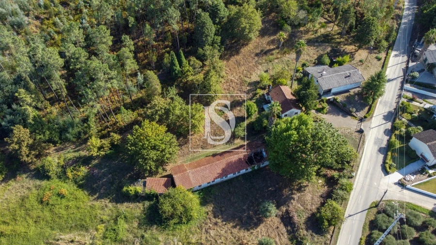 Moradia T4 para Venda em Mortágua, Vale de Remígio, Cortegaça e Almaça Foto 68