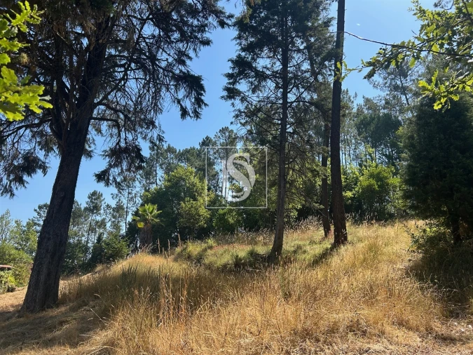 Moradia T4 para Venda em Mortágua, Vale de Remígio, Cortegaça e Almaça Foto 58