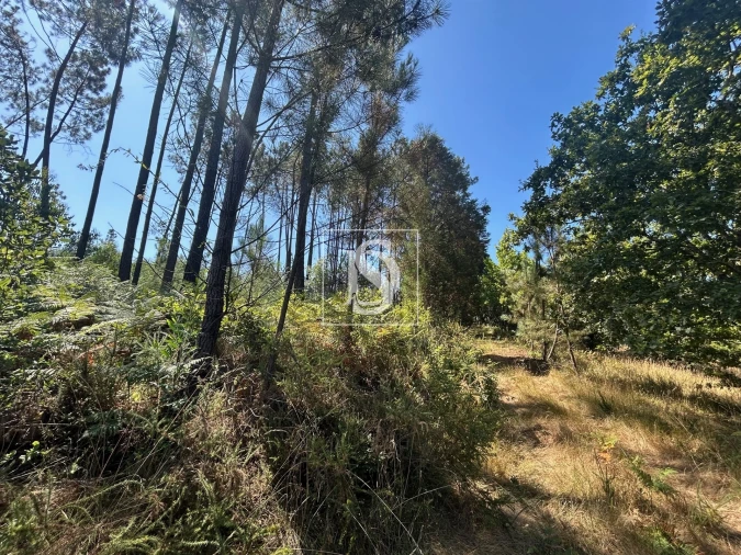 Moradia T4 para Venda em Mortágua, Vale de Remígio, Cortegaça e Almaça Foto 57