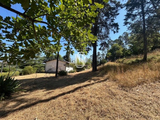 Moradia T4 para Venda em Mortágua, Vale de Remígio, Cortegaça e Almaça Foto 60