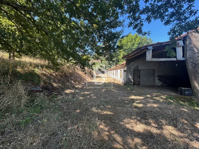 Moradia T4 para Venda em Mortágua, Vale de Remígio, Cortegaça e Almaça Foto 55