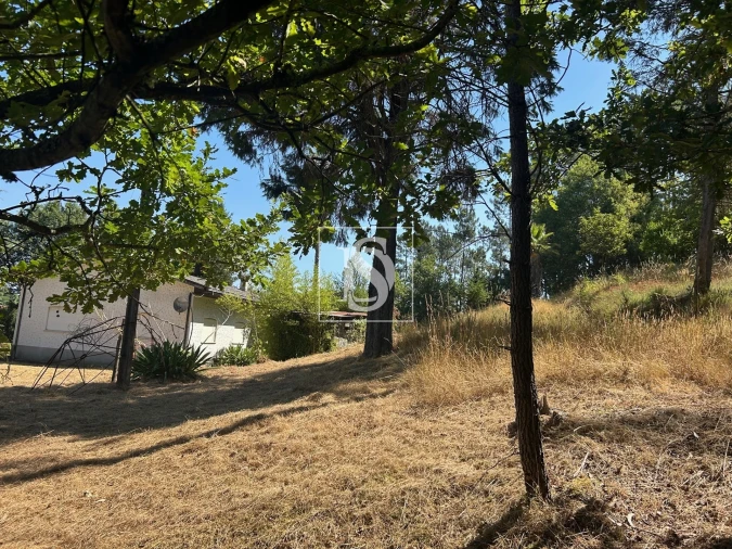 Moradia T4 para Venda em Mortágua, Vale de Remígio, Cortegaça e Almaça Foto 59