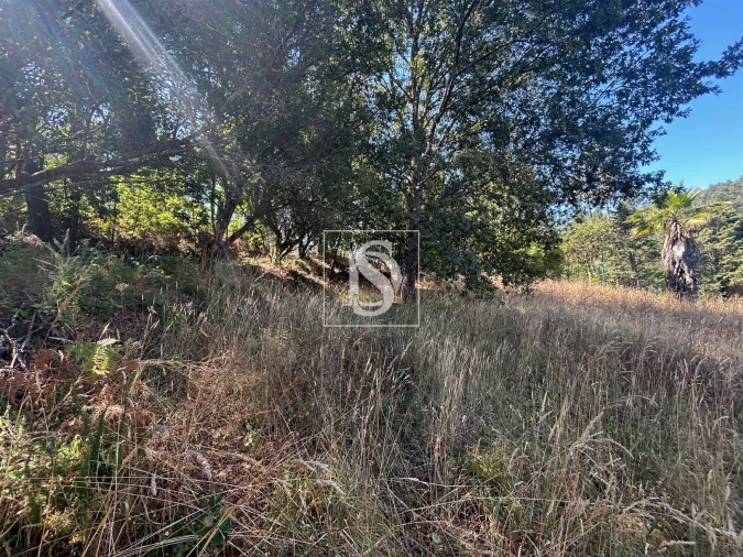 Moradia T4 para Venda em Mortágua, Vale de Remígio, Cortegaça e Almaça Foto 65