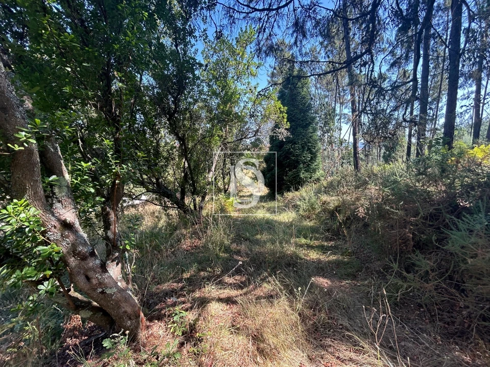 Moradia T4 para Venda em Mortágua, Vale de Remígio, Cortegaça e Almaça Foto 63