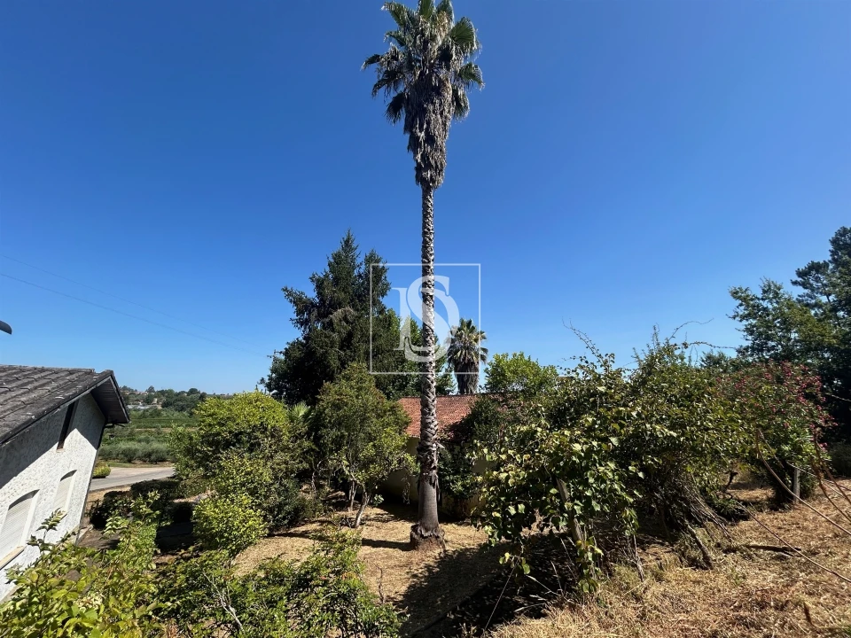 Moradia T4 para Venda em Mortágua, Vale de Remígio, Cortegaça e Almaça Foto 38