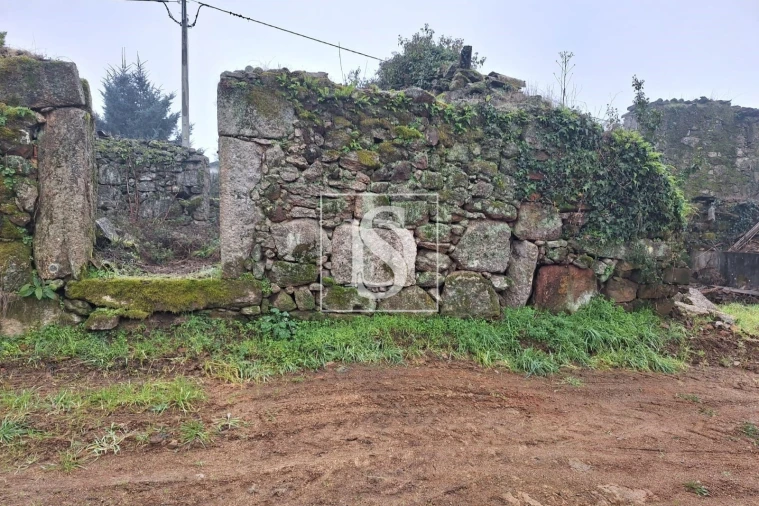 Terreno para Venda em Vilar de Besteiros e Mosteiro de Fráguas Foto 8