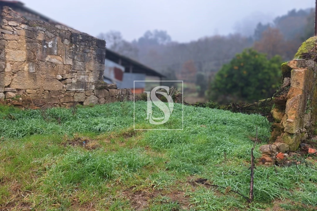 Terreno para Venda em Vilar de Besteiros e Mosteiro de Fráguas Foto 6