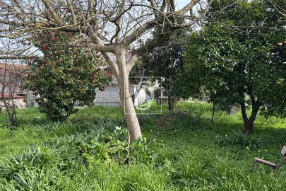 Moradia T3 para Venda em Dardavaz