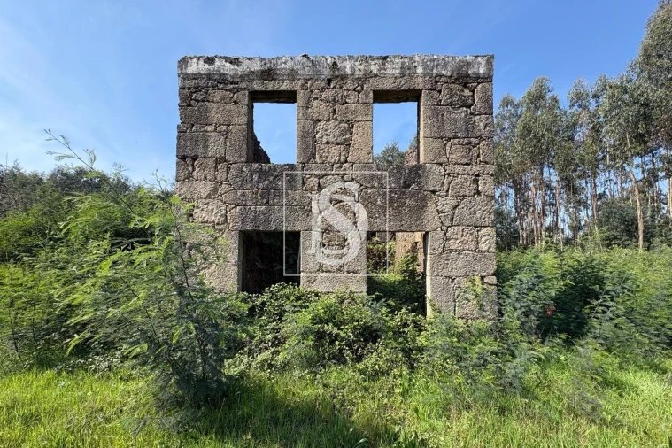 Terreno para Venda em Tondela e Nandufe Foto 3