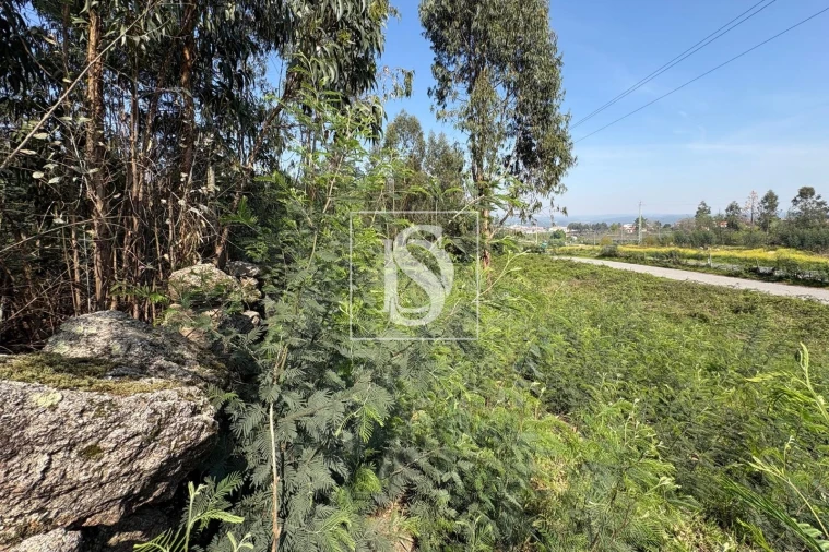 Terreno para Venda em Tondela e Nandufe Foto 11