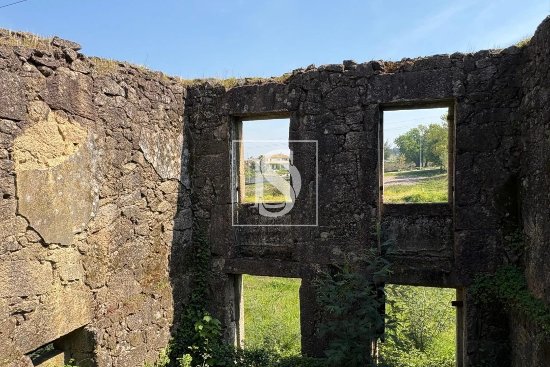 Terreno para Venda em Tondela e Nandufe Foto 5