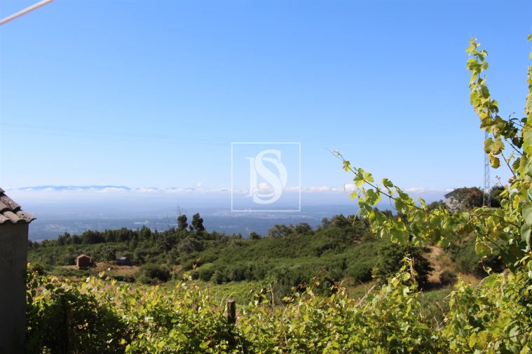 Moradia T1 para Venda em Caparrosa e Silvares Foto 14