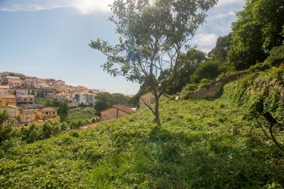 Terreno para Venda em Santa Marinha e São Pedro da Afurada