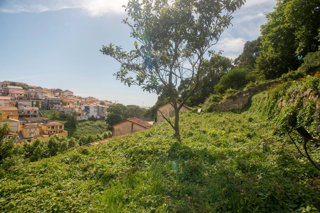 Terreno para Venda em Santa Marinha e São Pedro da Afurada Foto 3