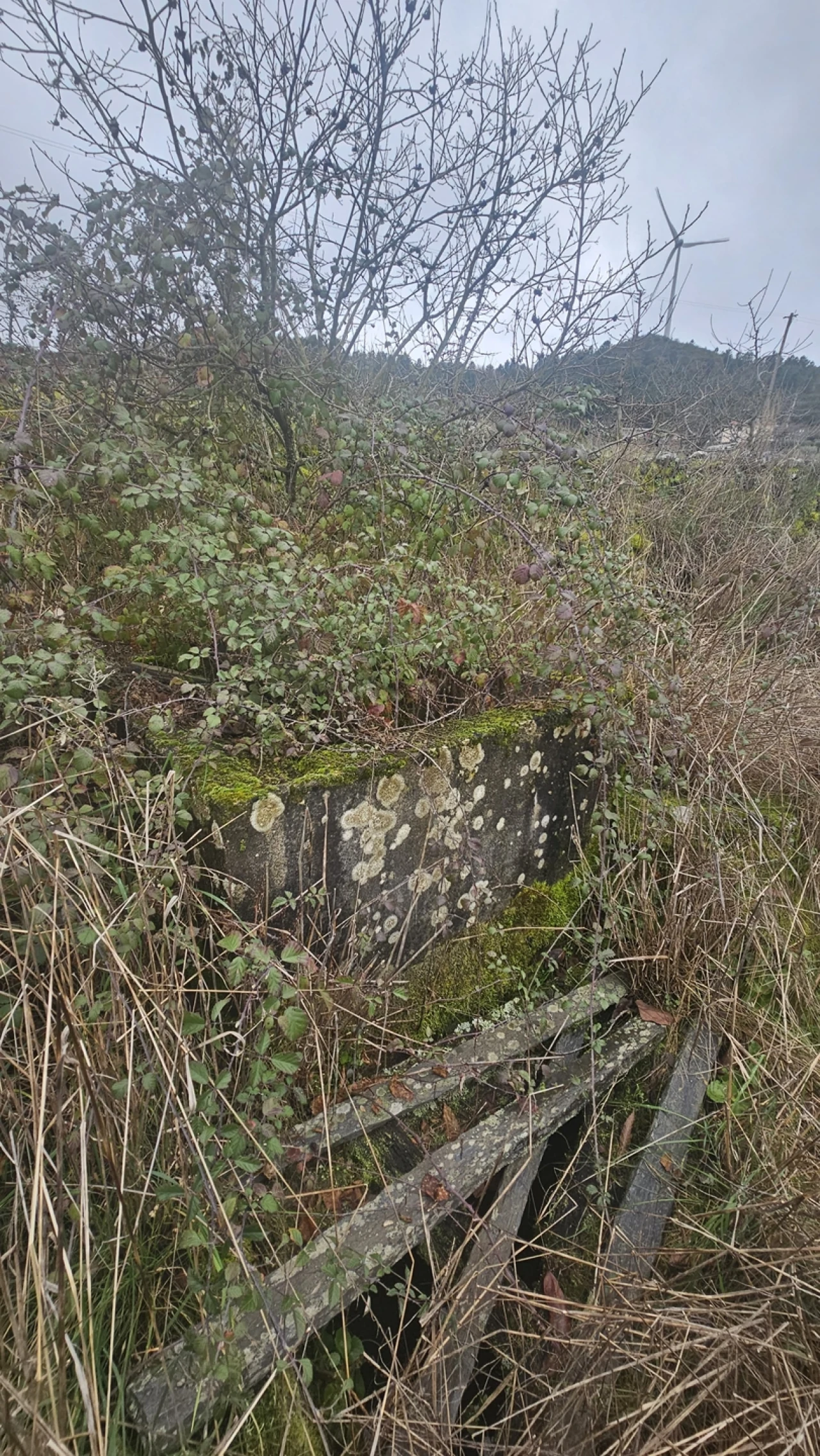 Terreno para Venda em Aricera e Goujoim Foto 10