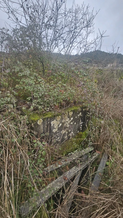 Terreno para Venda em Aricera e Goujoim