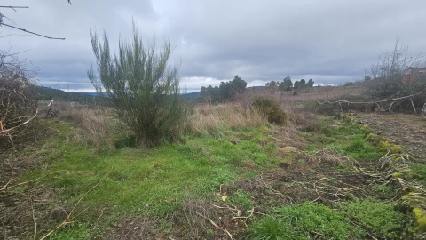 Terreno para Venda em Aricera e Goujoim
