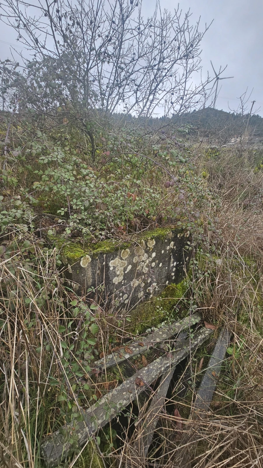 Terreno para Venda em Aricera e Goujoim Foto 10
