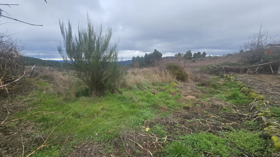 Terreno para Venda em Aricera e Goujoim Foto 5