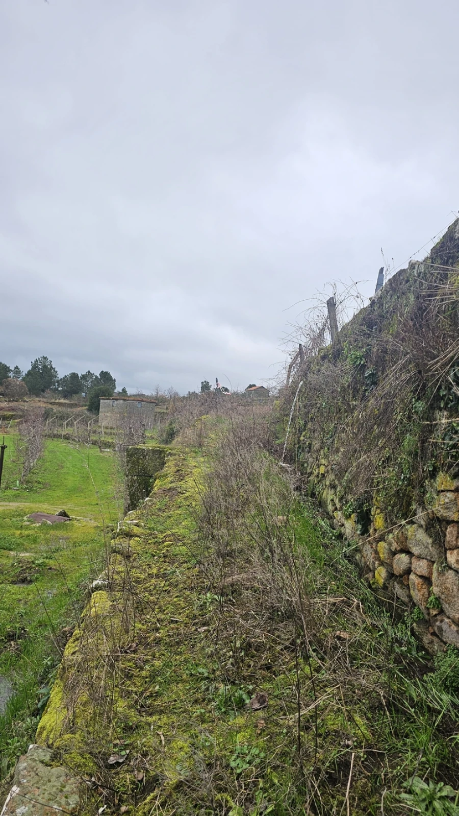 Terreno para Venda em Aricera e Goujoim Foto 6