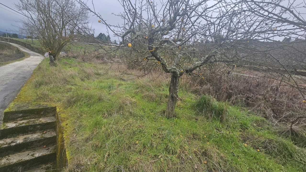 Terreno para Venda em Aricera e Goujoim Foto 9