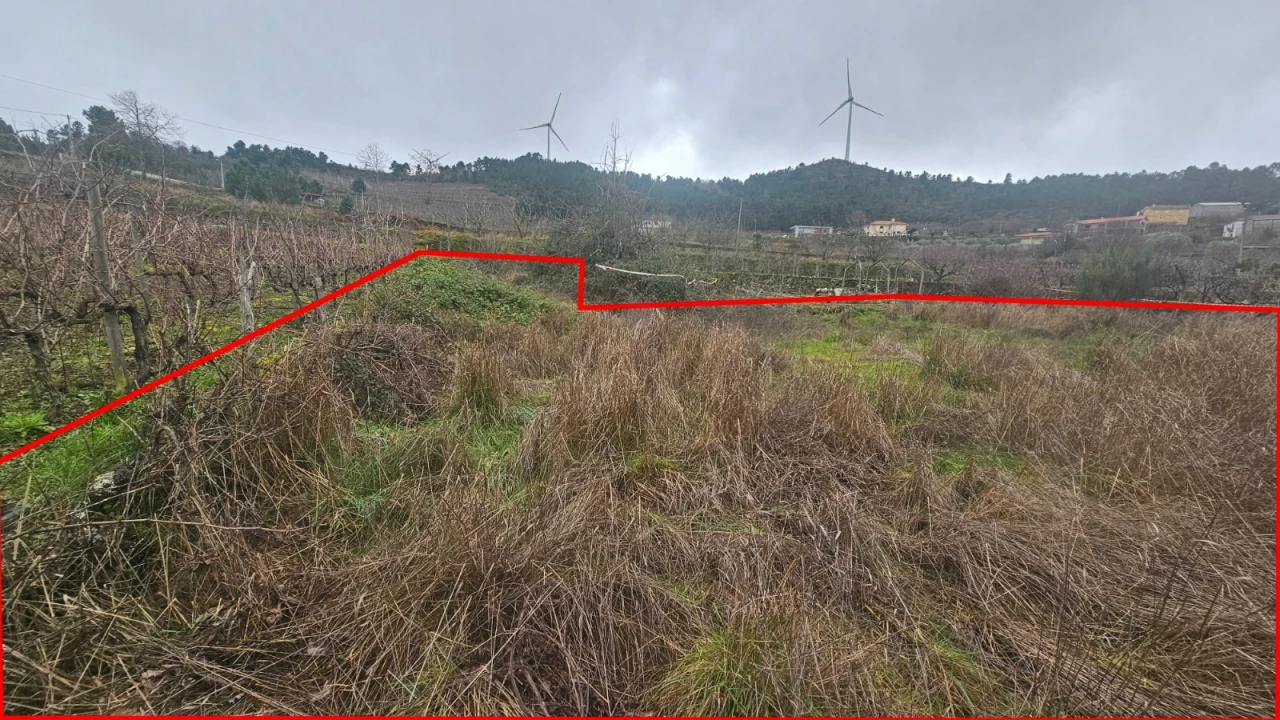 Terreno para Venda em Aricera e Goujoim Foto 2