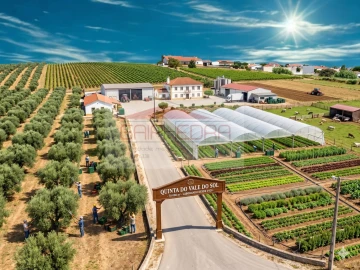 Terreno para Venda em São João Baptista e Santa Maria dos Olivais