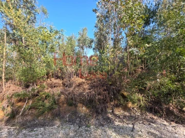 Terreno Agricola ou Rústico para Venda em Albergaria-A-Velha e Valmaior