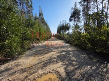 Terreno Agricola ou Rústico para Venda em Albergaria-A-Velha e Valmaior