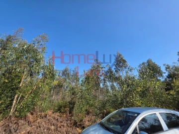 Terreno Agricola ou Rústico para Venda em Albergaria-A-Velha e Valmaior