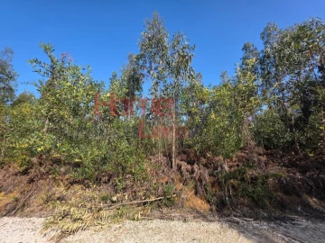 Terreno Agricola ou Rústico para Venda em Albergaria-A-Velha e Valmaior