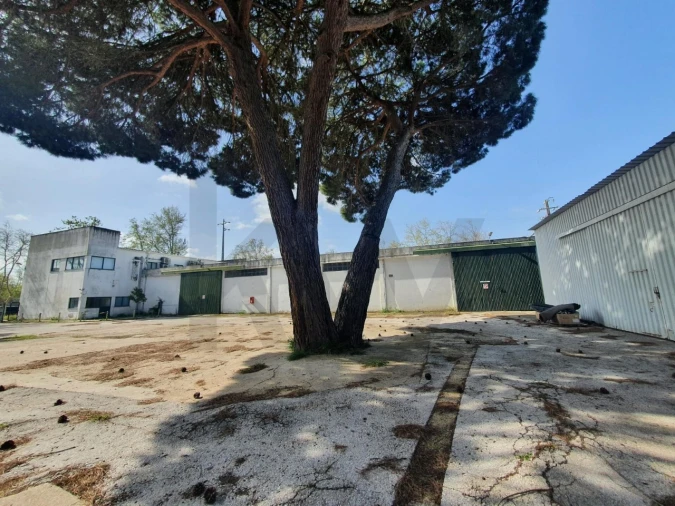 Armazém para Venda em Coruche, Fajarda e Erra Foto 9