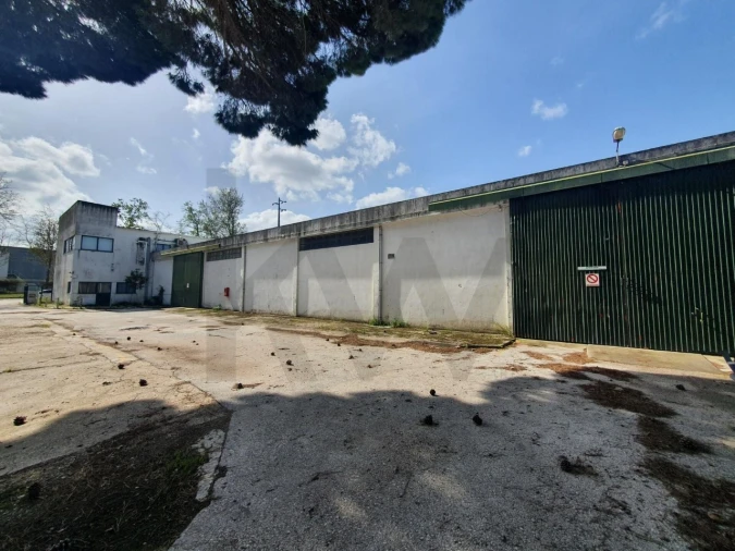 Armazém para Venda em Coruche, Fajarda e Erra Foto 11