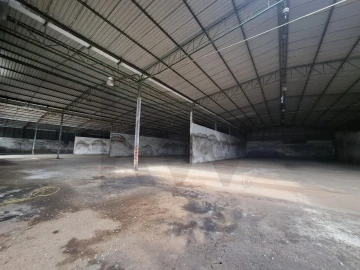 Armazém para Venda em Pegões