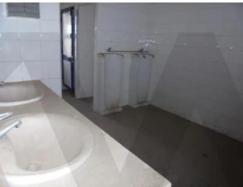 Armazém para Venda em Pegões