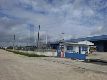Armazém para Venda em Pegões